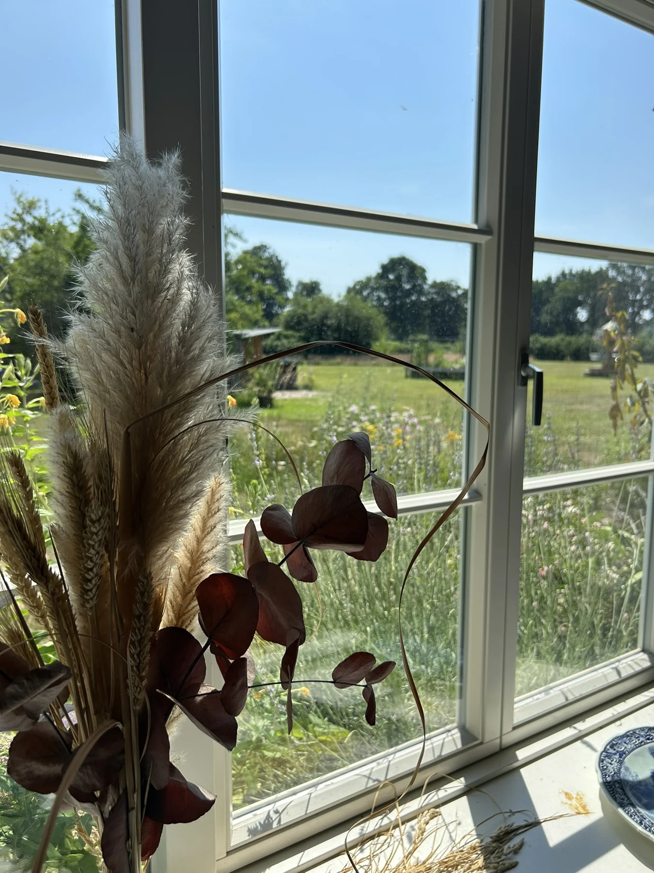 Blick aus dem Fenster ins Grüne